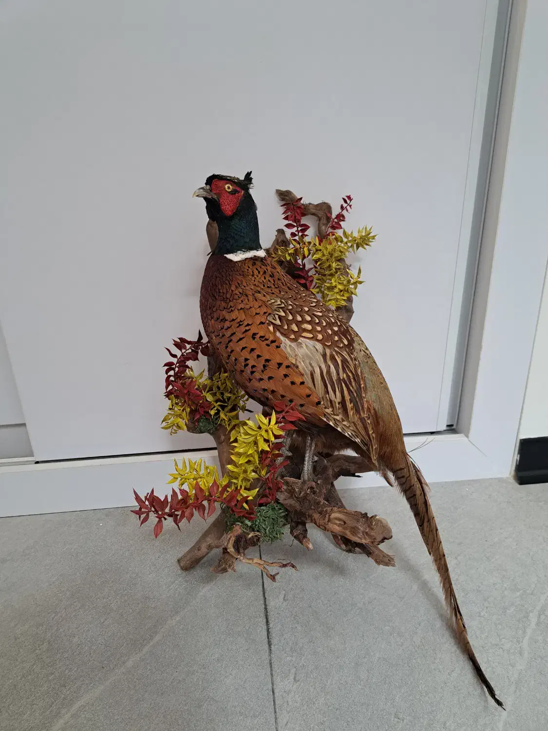 پرنده قرقاول|صنایع دستی و سایر لوازم تزئینی|بابلسر, |دیوار