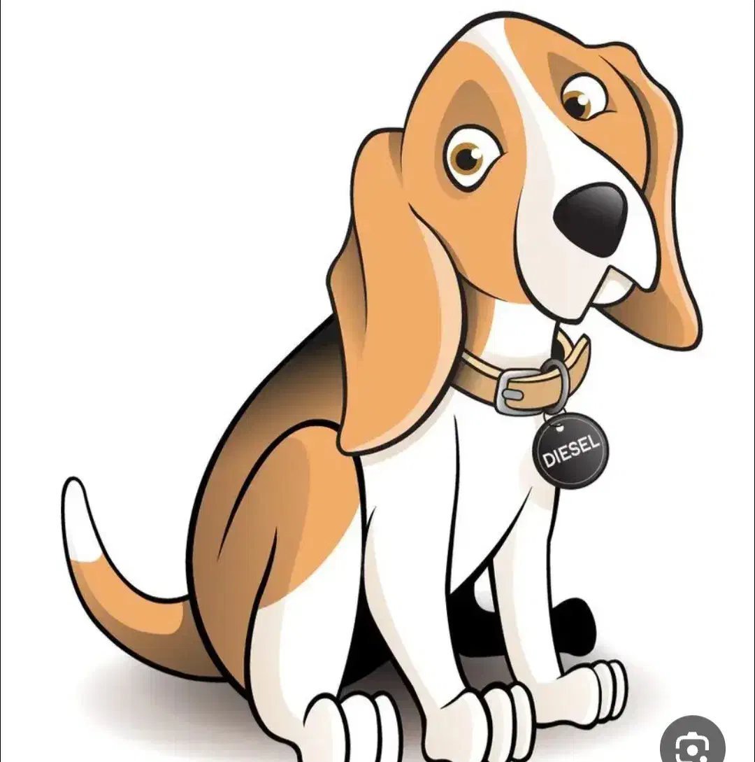 سگ گمشده اشپیتز در جاده کوهمره|حیوانات|شیراز, فرهنگ شهر|دیوار