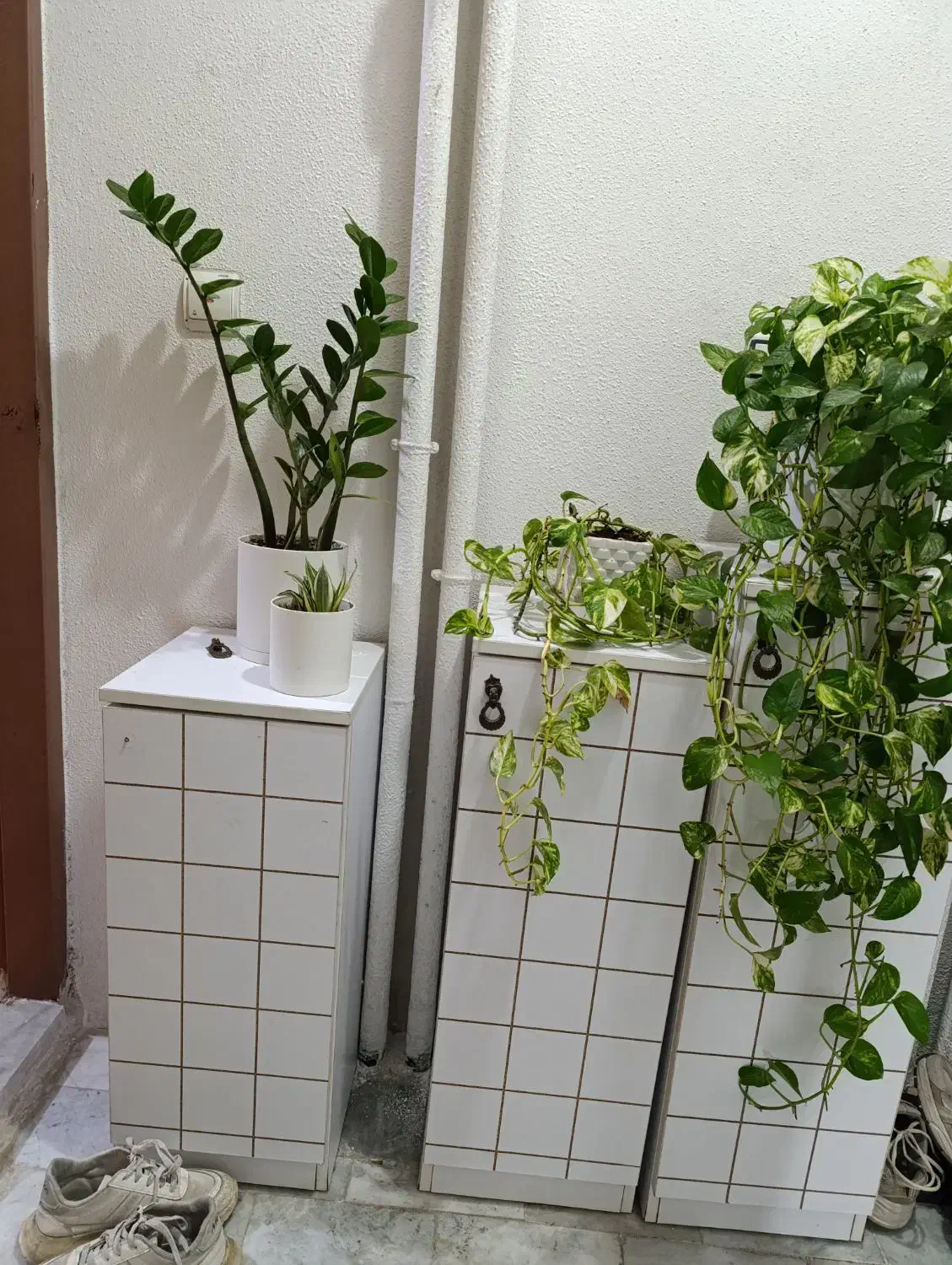 جاکفشی|جاکفشی، کمد، دراور|بندر انزلی, امامزاده|دیوار