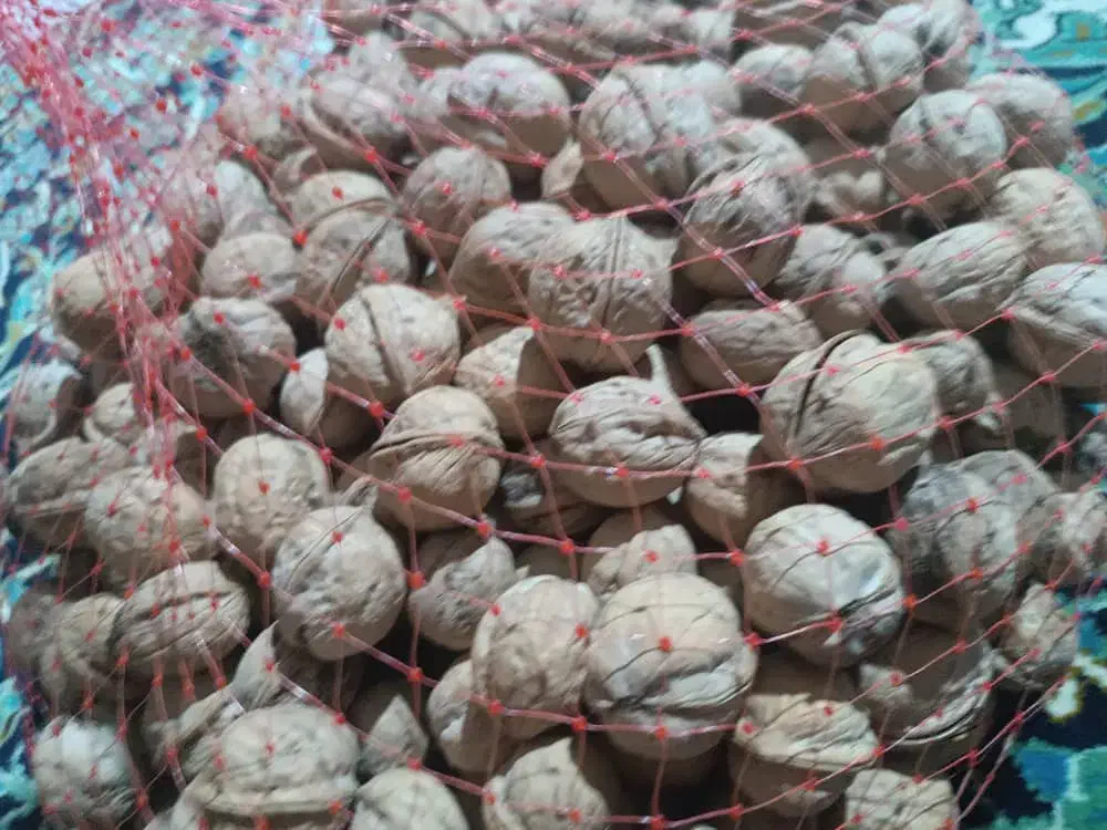 فروش گردو ، کشمش سبز قلمی و کشمش پلویی ، شیره|خوردنی و آشامیدنی|رومشکان, |دیوار