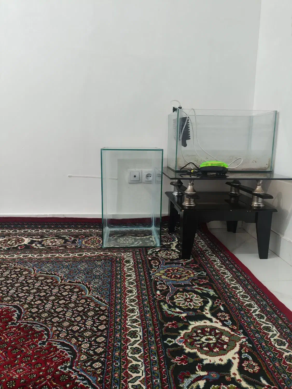 لوازم اکواریم|ماهی|پارس‌آباد, |دیوار