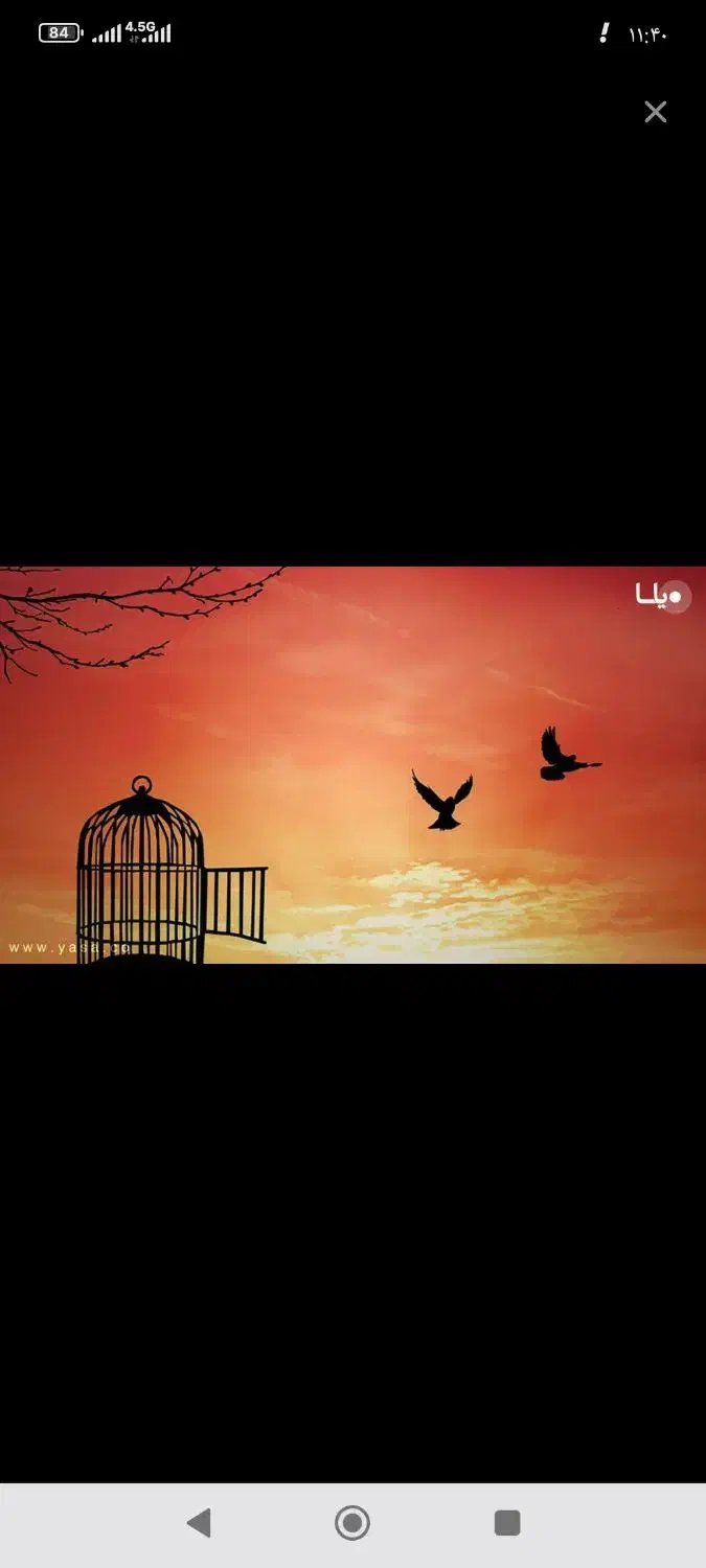 وام اسان|فعالیت داوطلبانه|پردیس, فاز ۸|دیوار