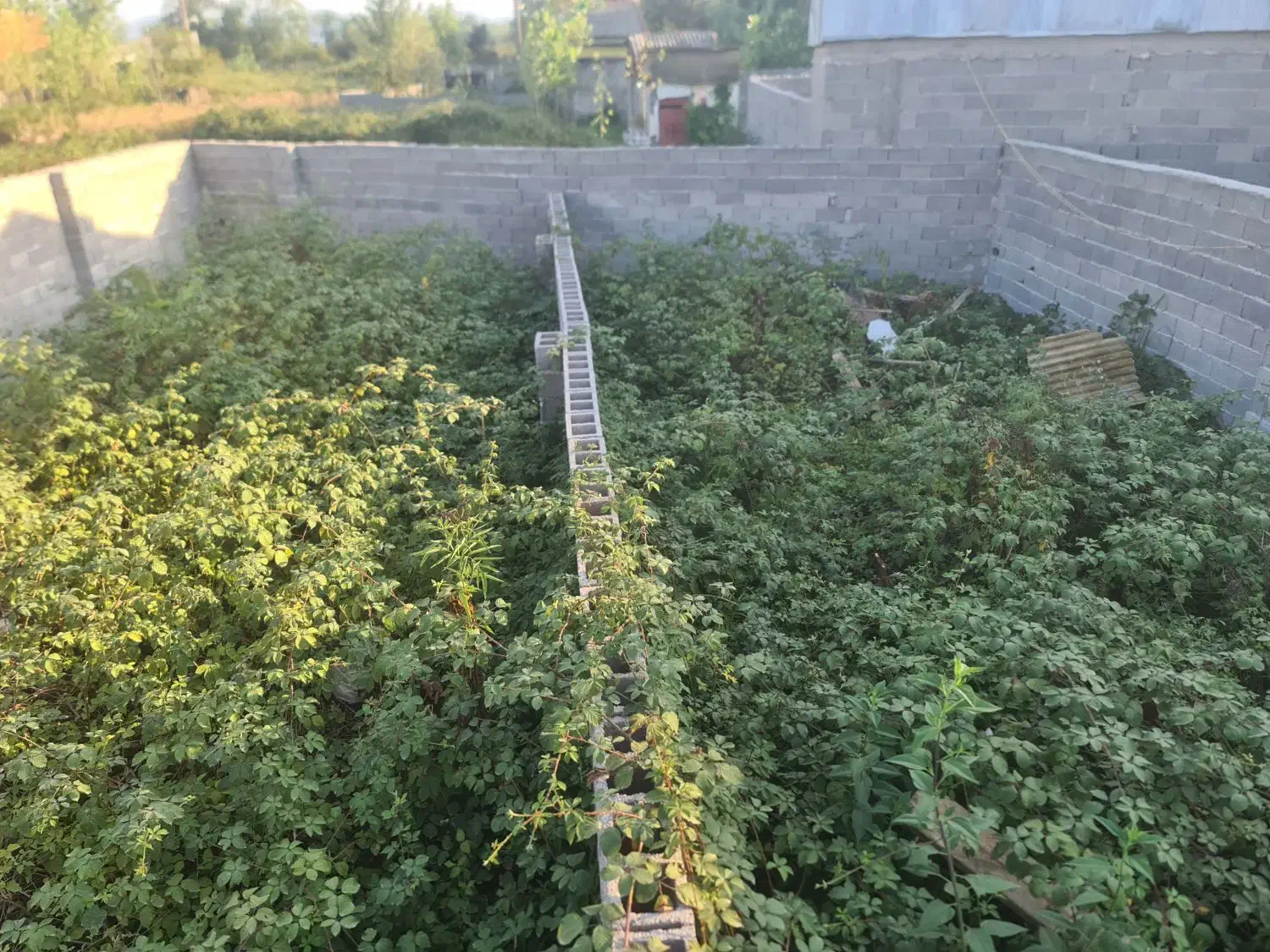 استقامت ۲|فروش زمین و ملک کلنگی|رشت, انصاری|دیوار