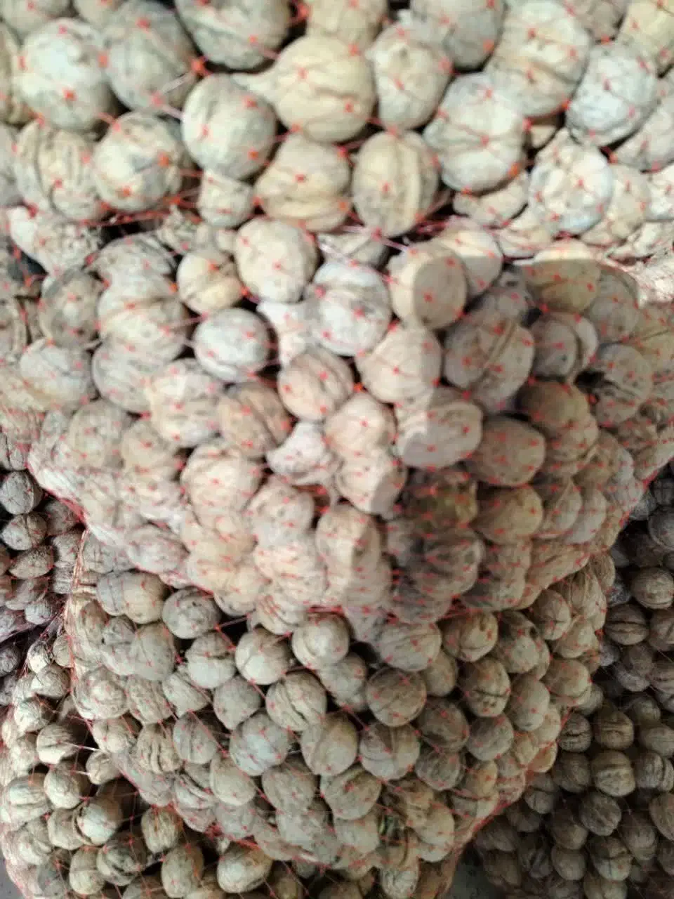 فروش بادام وگردوی درجه یک  صادراتی اقلید فارس|خوردنی و آشامیدنی|رشت, گلسار|دیوار