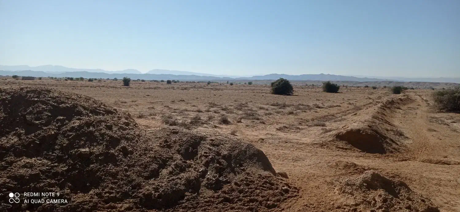 زمین کشاورزی 10 هکتاری دیم در دشت دژگاه|فروش زمین و ملک کلنگی|جم, |دیوار