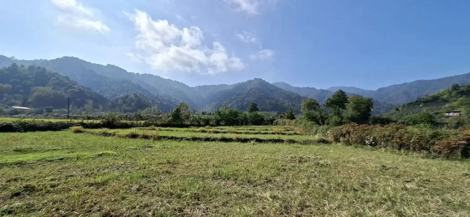 زمین ویلایی با ویو رویایی دریا و جنگل|فروش زمین و ملک کلنگی|چوبر, |دیوار