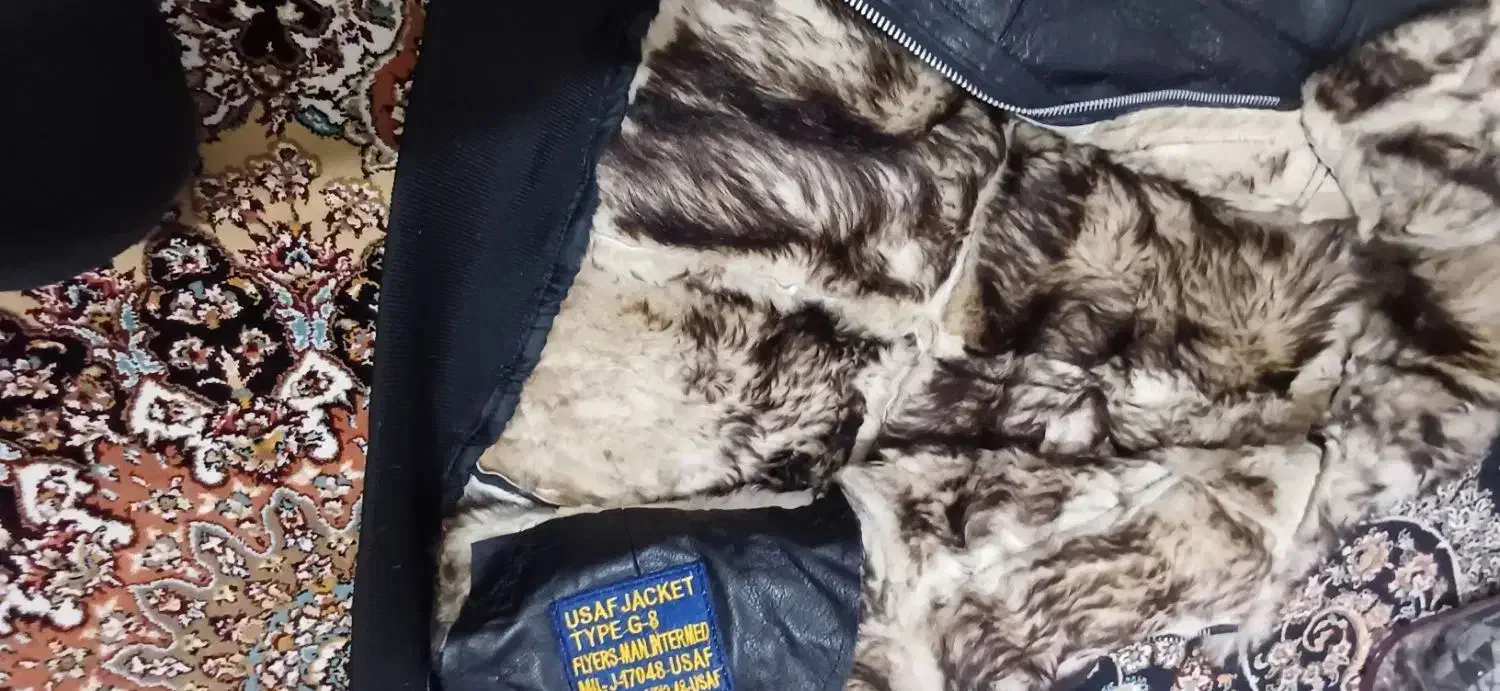 کاپشن بوفالو چرمی|لباس|اردبیل, |دیوار