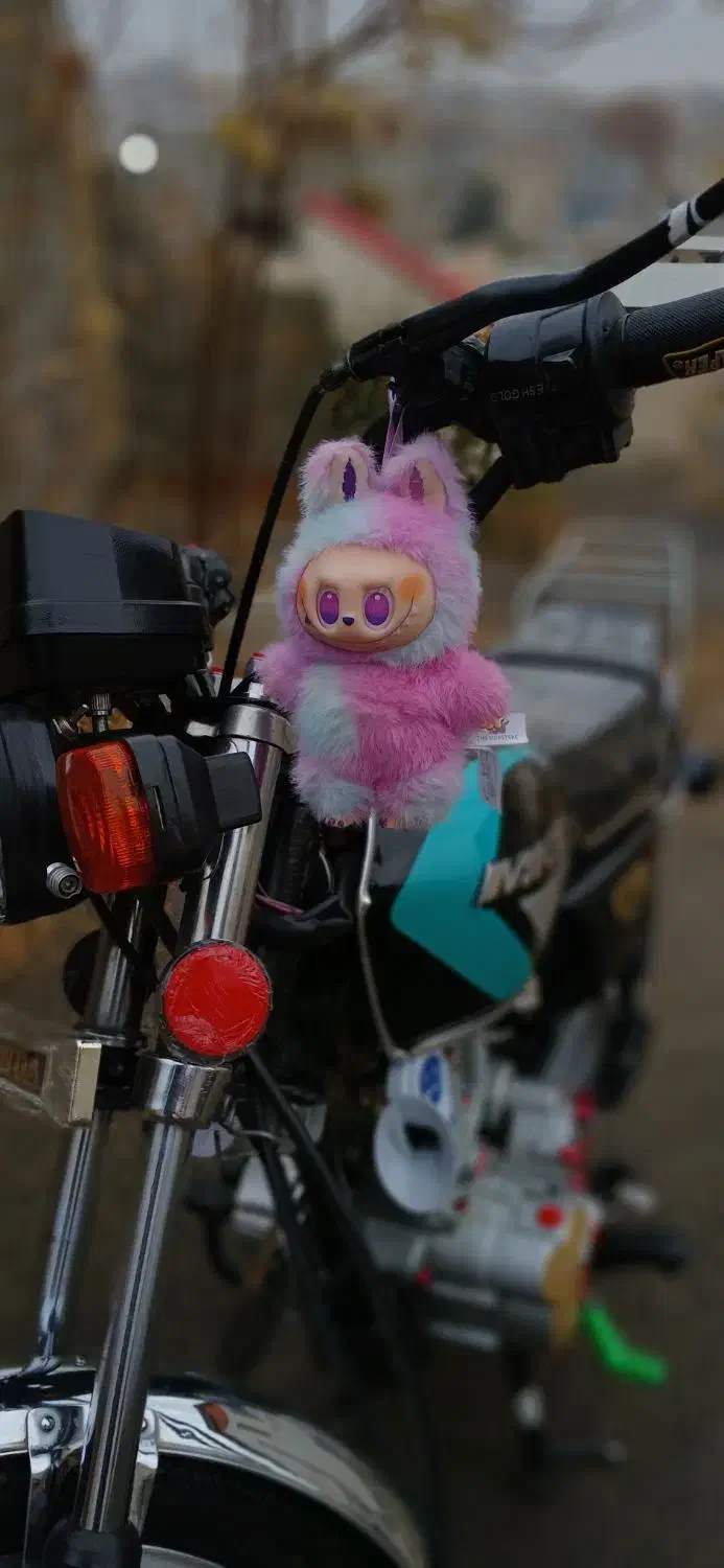 تعداد زیادی لبوبو|اسباببازی|نظرآباد, شهرک آزادگان|دیوار