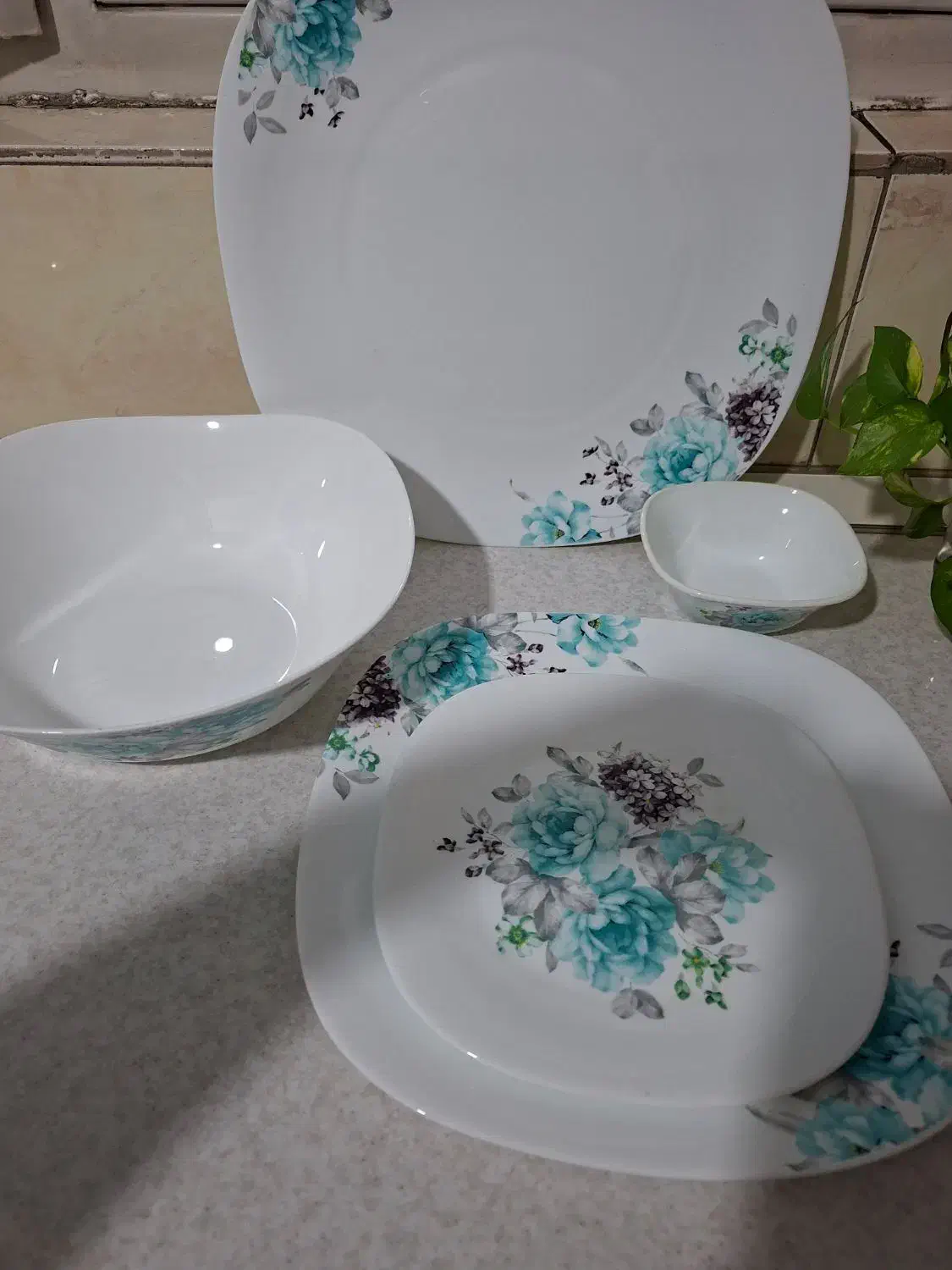 ارکوپال|ظروف سرو و پذیرایی|ابهر, |دیوار