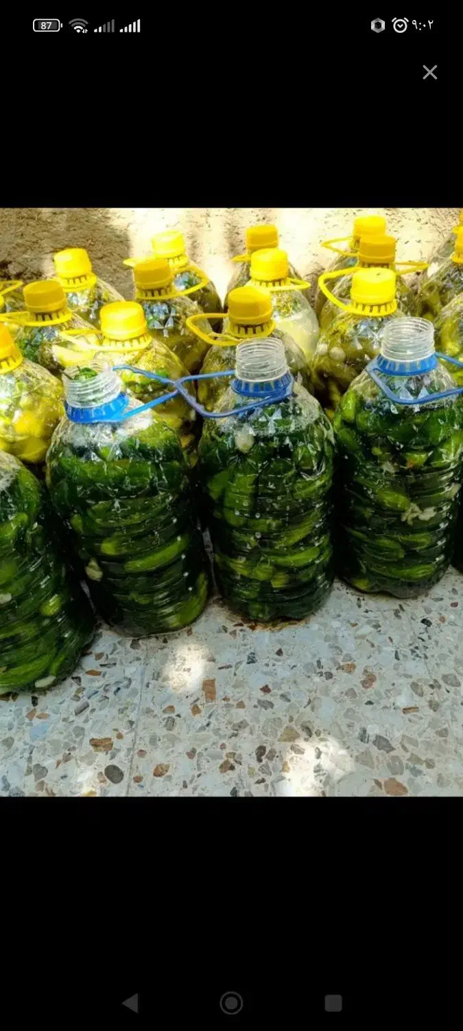 خیارشور|خوردنی و آشامیدنی|سردرود, |دیوار