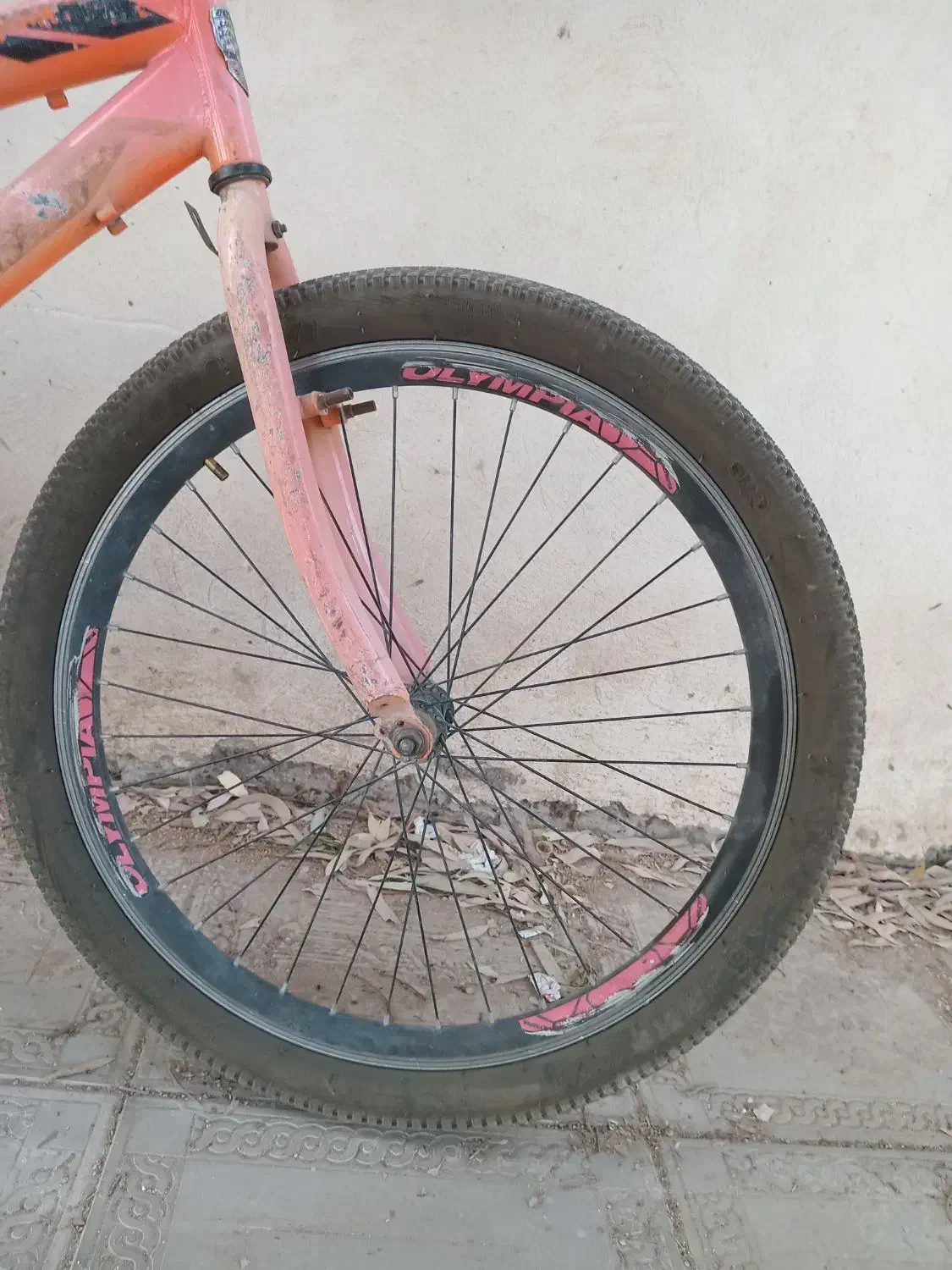 دوچرخه ۲۴ olumpia|دوچرخه، اسکیت، اسکوتر|بم, |دیوار