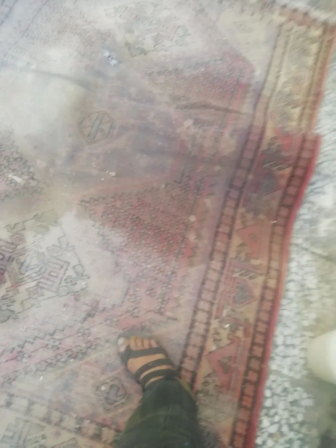 قالیچه دست باف قدیمی|فرش|اصفهان, جاوان|دیوار