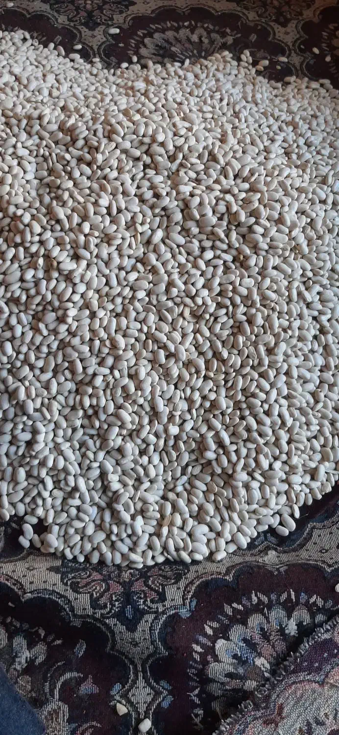 لوبیاسفید|خوردنی و آشامیدنی|اشترینان, |دیوار