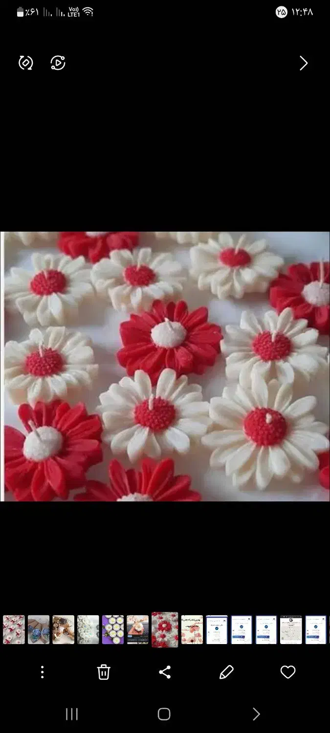 گل جاودان|گل مصنوعی|یزد, |دیوار