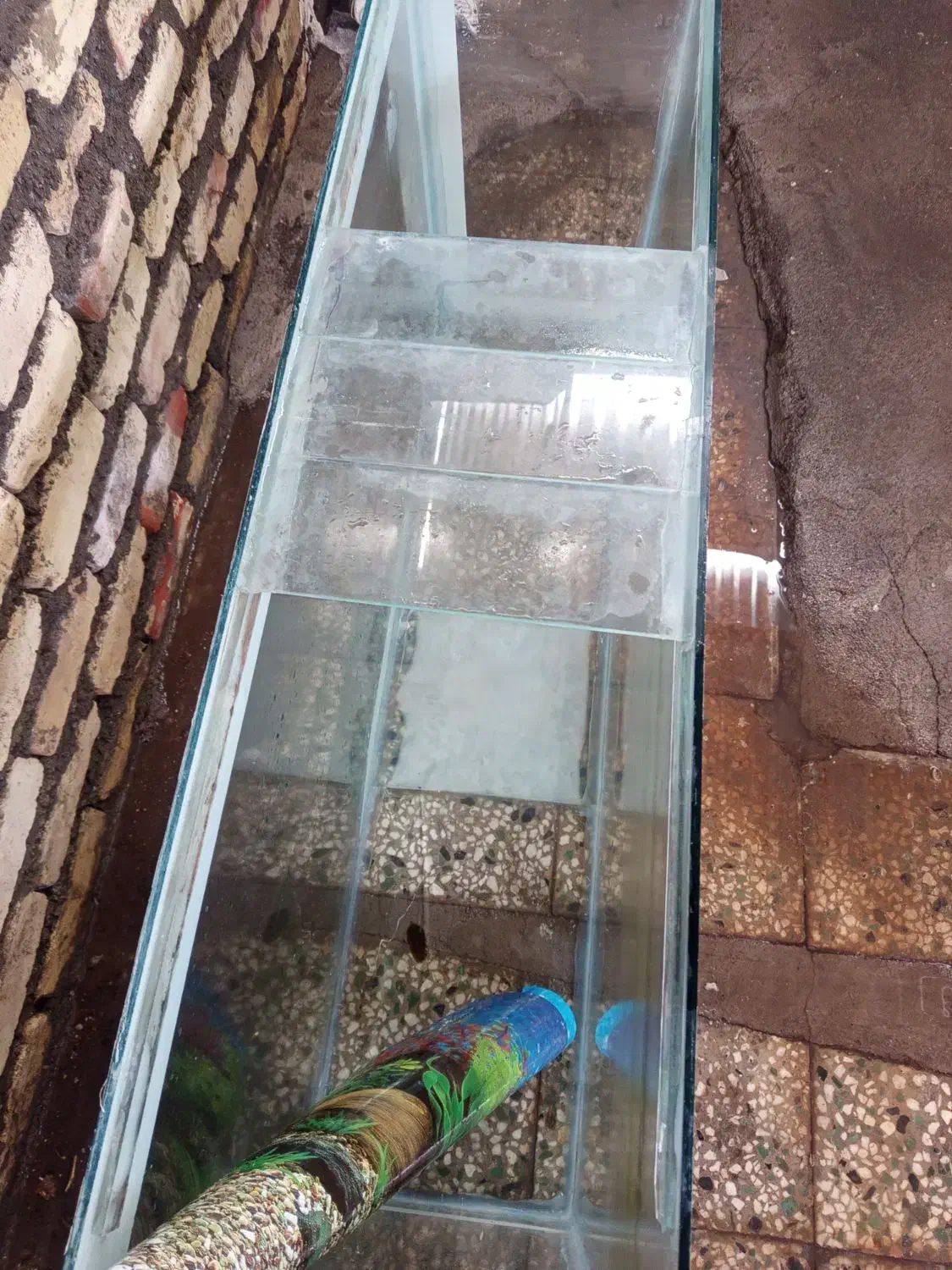 آکواریوم|ماهی|سیرجان, |دیوار