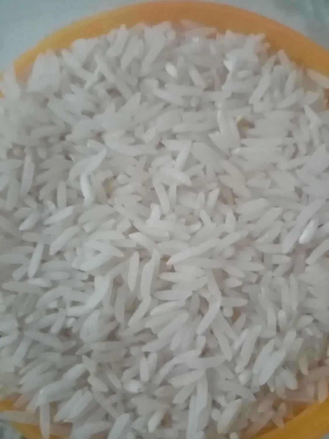 برنج زمین خودم|خوردنی و آشامیدنی|گلستان (تهران), |دیوار