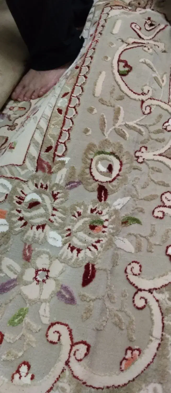 فرش 12 متری|فرش|رامسر, |دیوار