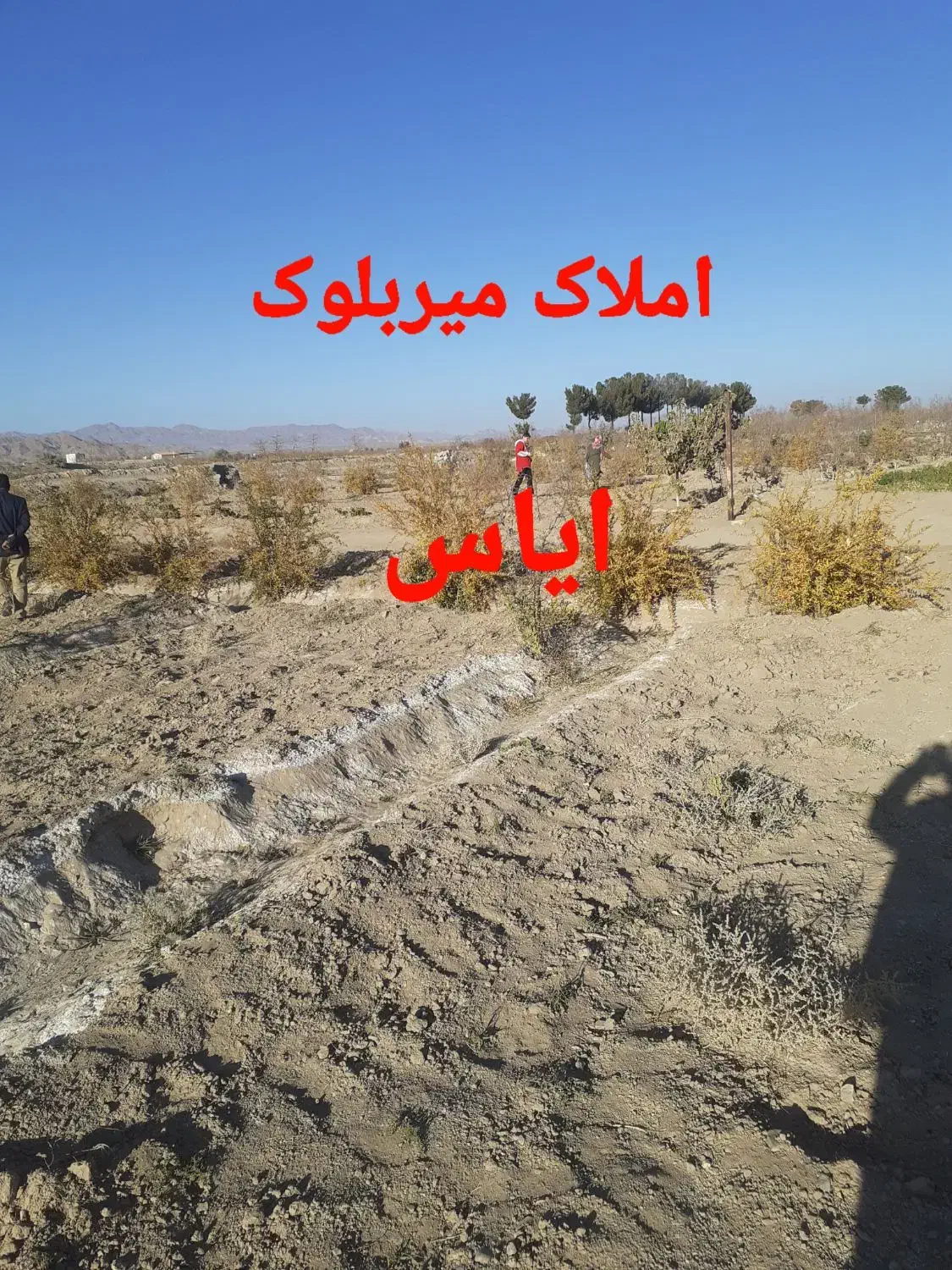 باغ۱۸۰۰و۱۵۰۰متری کلاته ملک سندتکبرگ با آب کشاورزی|فروش دفتر صنعتی، کشاورزی، تجاری|خوسف, |دیوار