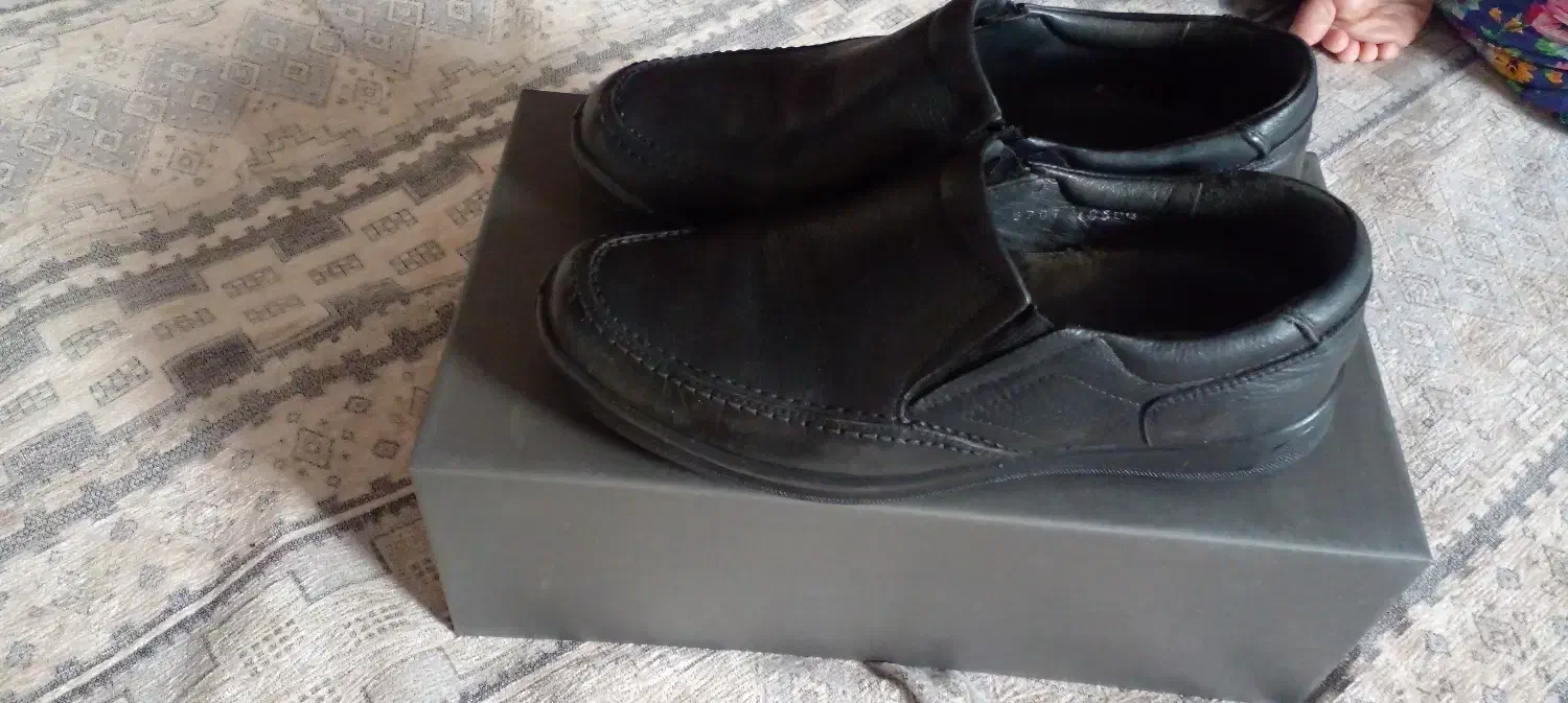 کفش نو|کیف، کفش، کمربند|مراغه, |دیوار