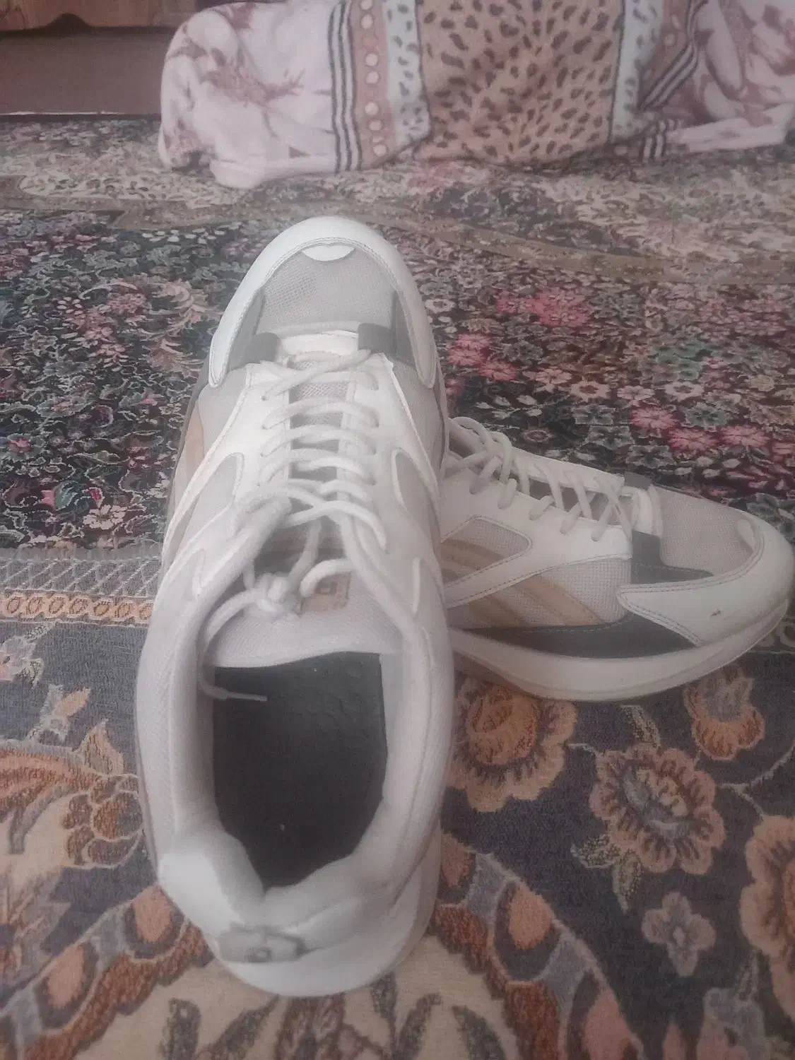 کفش اسپرت مردانه|کیف، کفش، کمربند|تربت‌حیدریه, قائم|دیوار