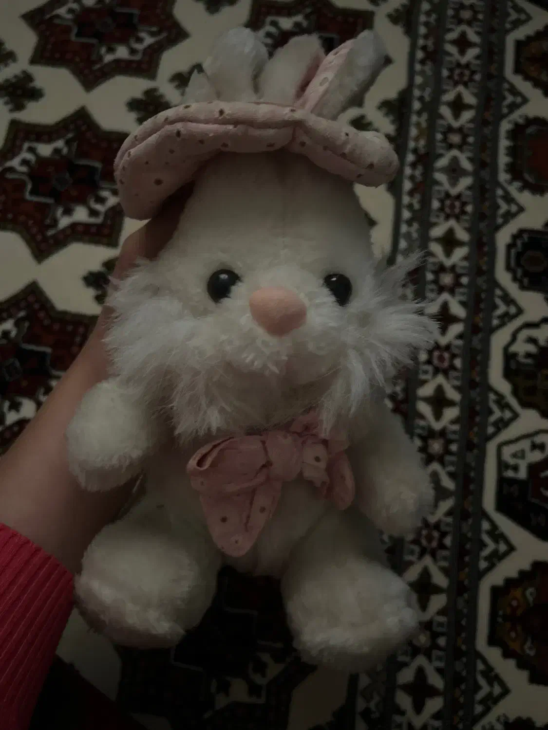 عروسک|اسباب‌بازی بچه|گنبد کاووس, |دیوار