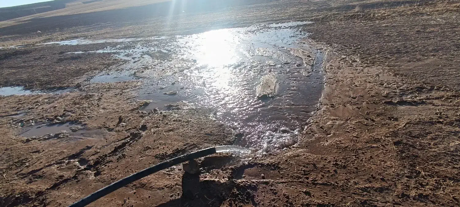 زمین کشاورزی|فروش دفتر صنعتی، کشاورزی، تجاری|صالح آباد, |دیوار