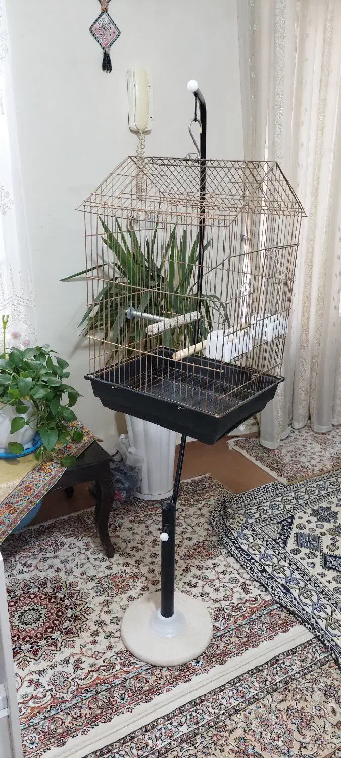 قفس سلطنتی|لوازم جانبی حیوانات|پاکدشت, پاکدشت (مامازند)|دیوار