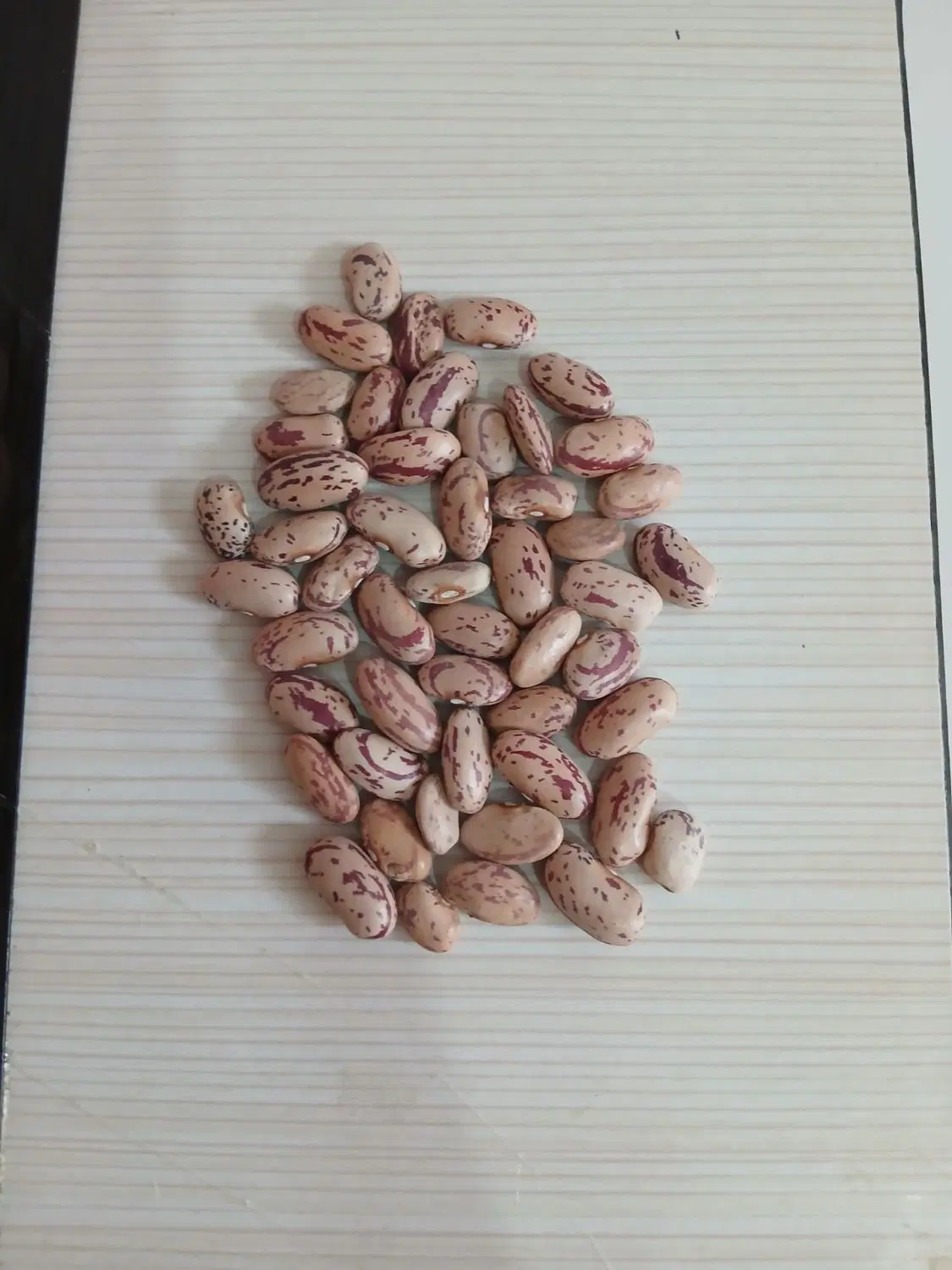حبوبات|خوردنی و آشامیدنی|دهلران, |دیوار