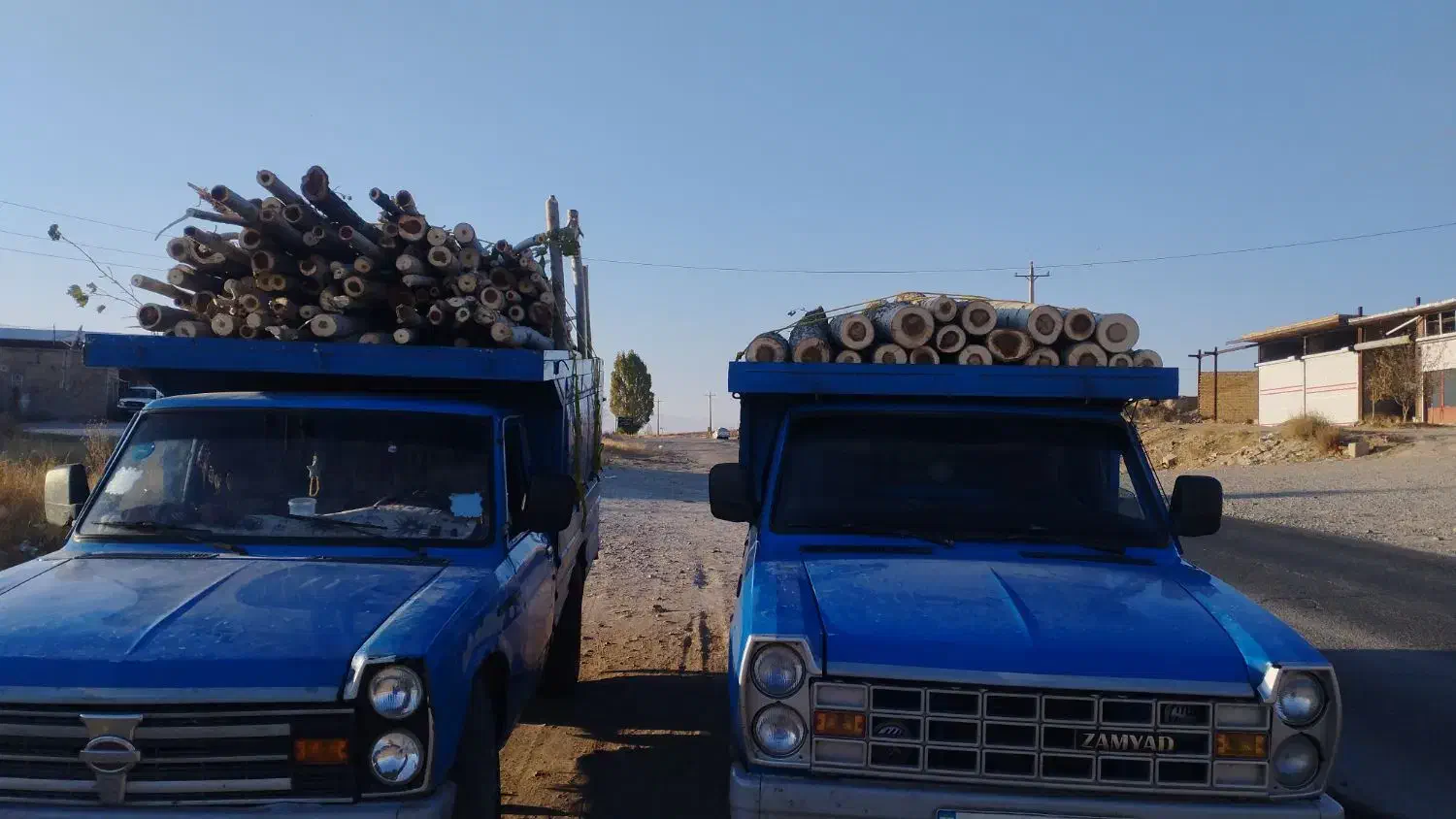 خرید چوب با بالاترین قیمت روز|خدمات باغبانی و درختکاری|سیلوانه, |دیوار