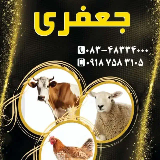 کالا دامپزشکی|پزشکی|صحنه, |دیوار