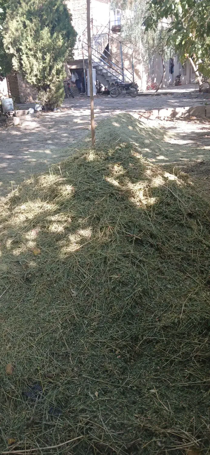 یونجه فروشی|حیوانات مزرعه|زند, |دیوار