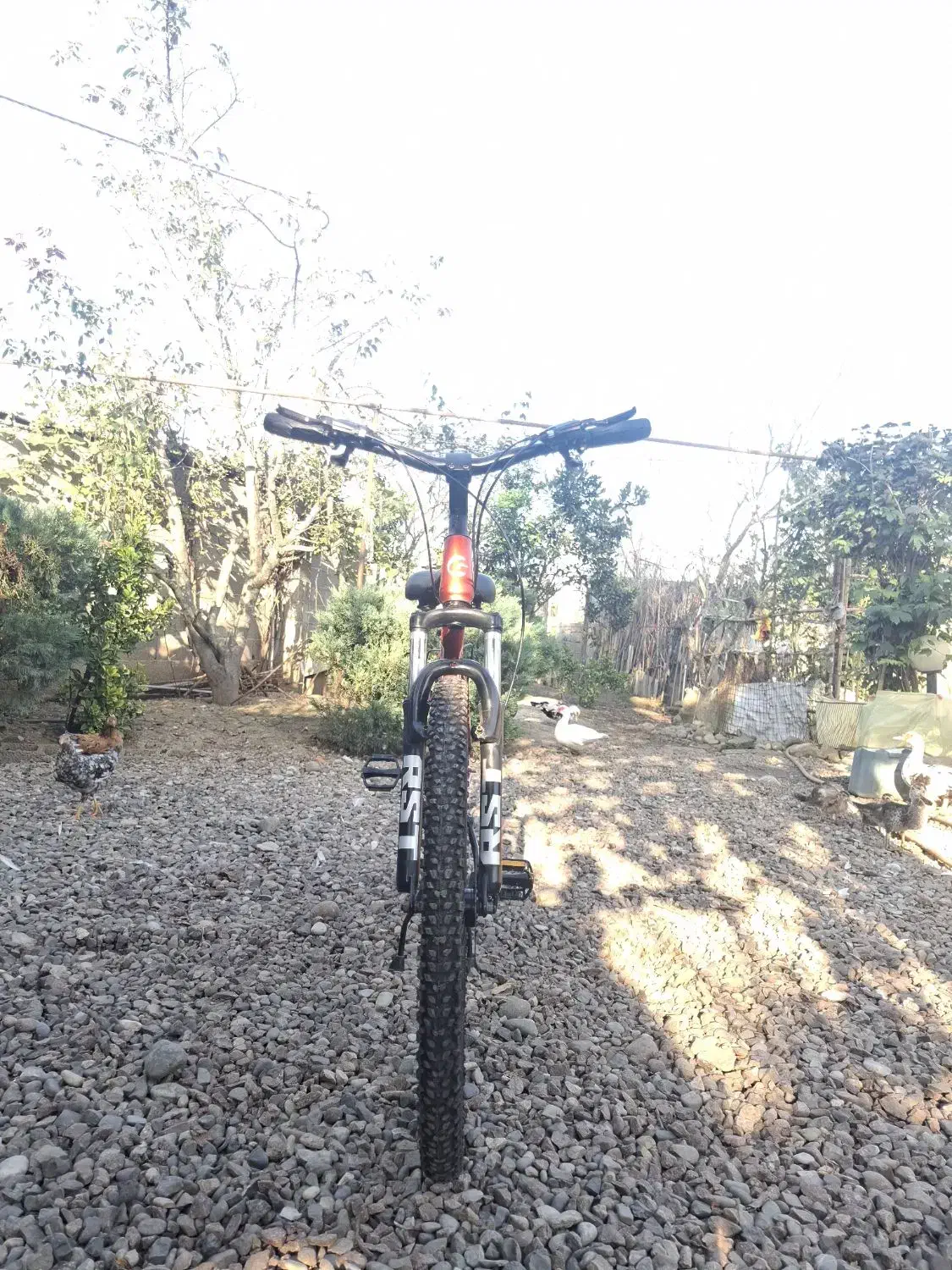 دوچرخه گالانت ۲۷.۵|دوچرخه، اسکیت، اسکوتر|فومن, |دیوار