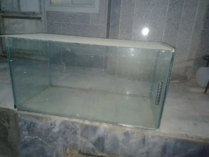 آکواریوم|ماهی|شیروان (خراسان), |دیوار