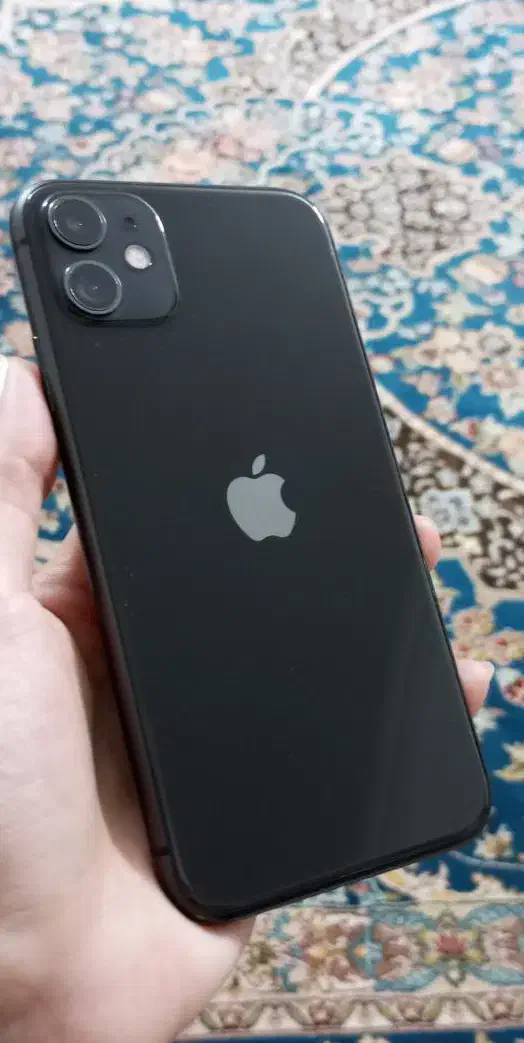 آیفون ۱۱|موبایل|قم, پردیسان|دیوار