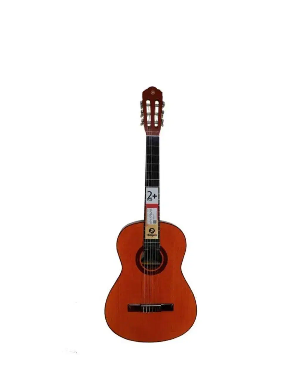 گیتار کارآموزی|گیتار، بیس، امپلیفایر|تبریز, |دیوار