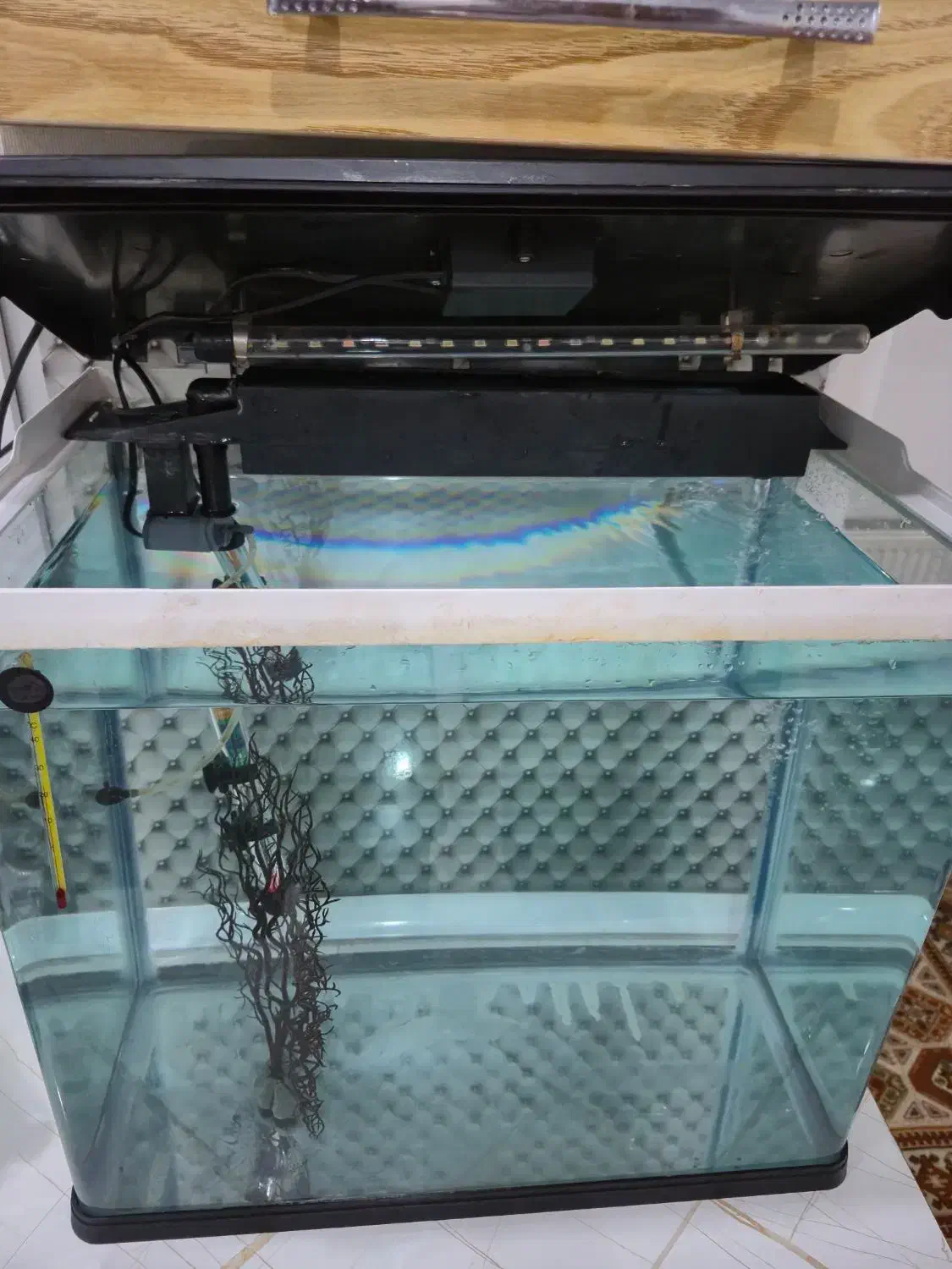 آکواریوم کامل دلسا همراه با ماهی|ماهی|فردیس, شهرک وحدت|دیوار