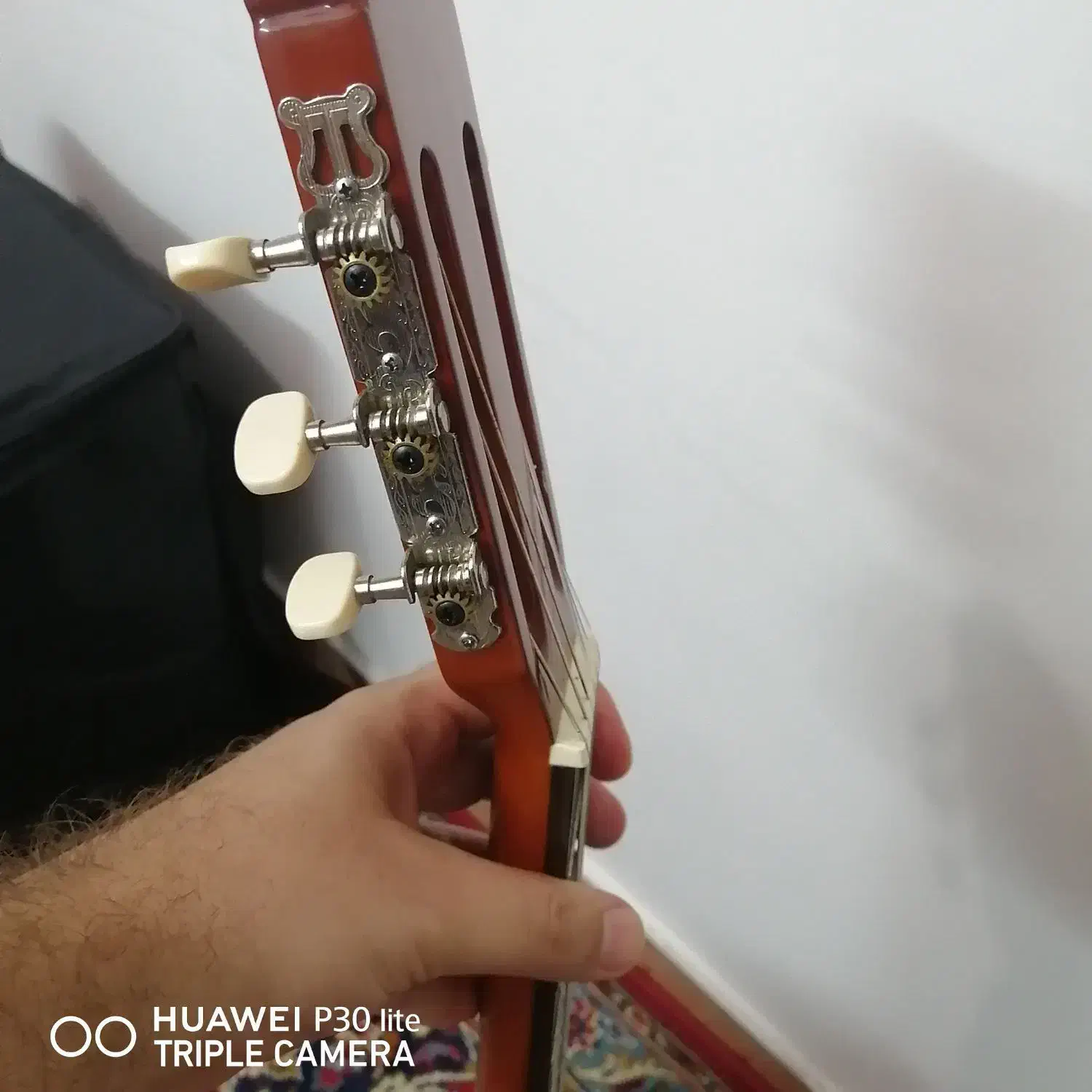 گیتار آریا aria|گیتار، بیس، امپلیفایر|تهران, مسعودیه|دیوار