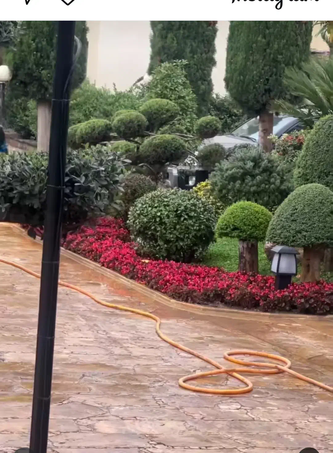 باغبانی تعویض گلدان هرس کرج چهارباغ مهرشهر کیانمهر|خدمات باغبانی و درختکاری|چهارباغ, |دیوار