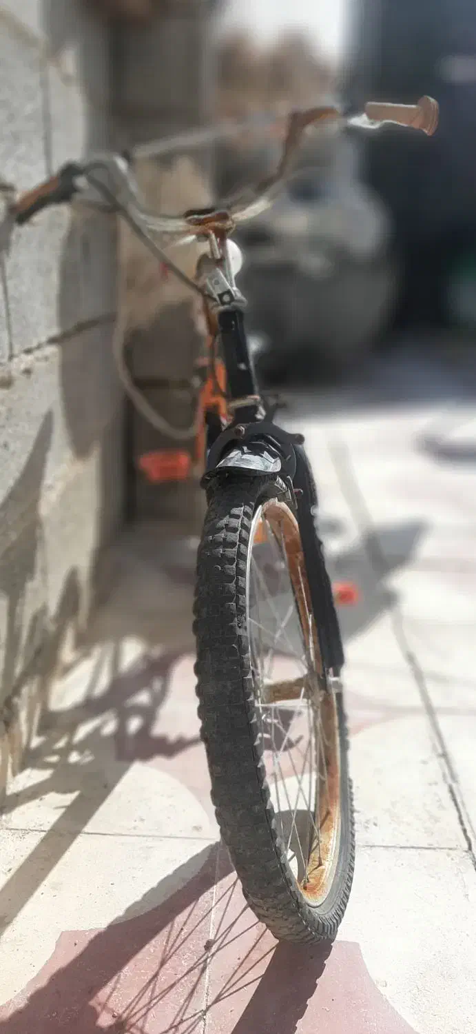 دوچرخه|دوچرخه، اسکیت، اسکوتر|شیراز, بید زرد|دیوار