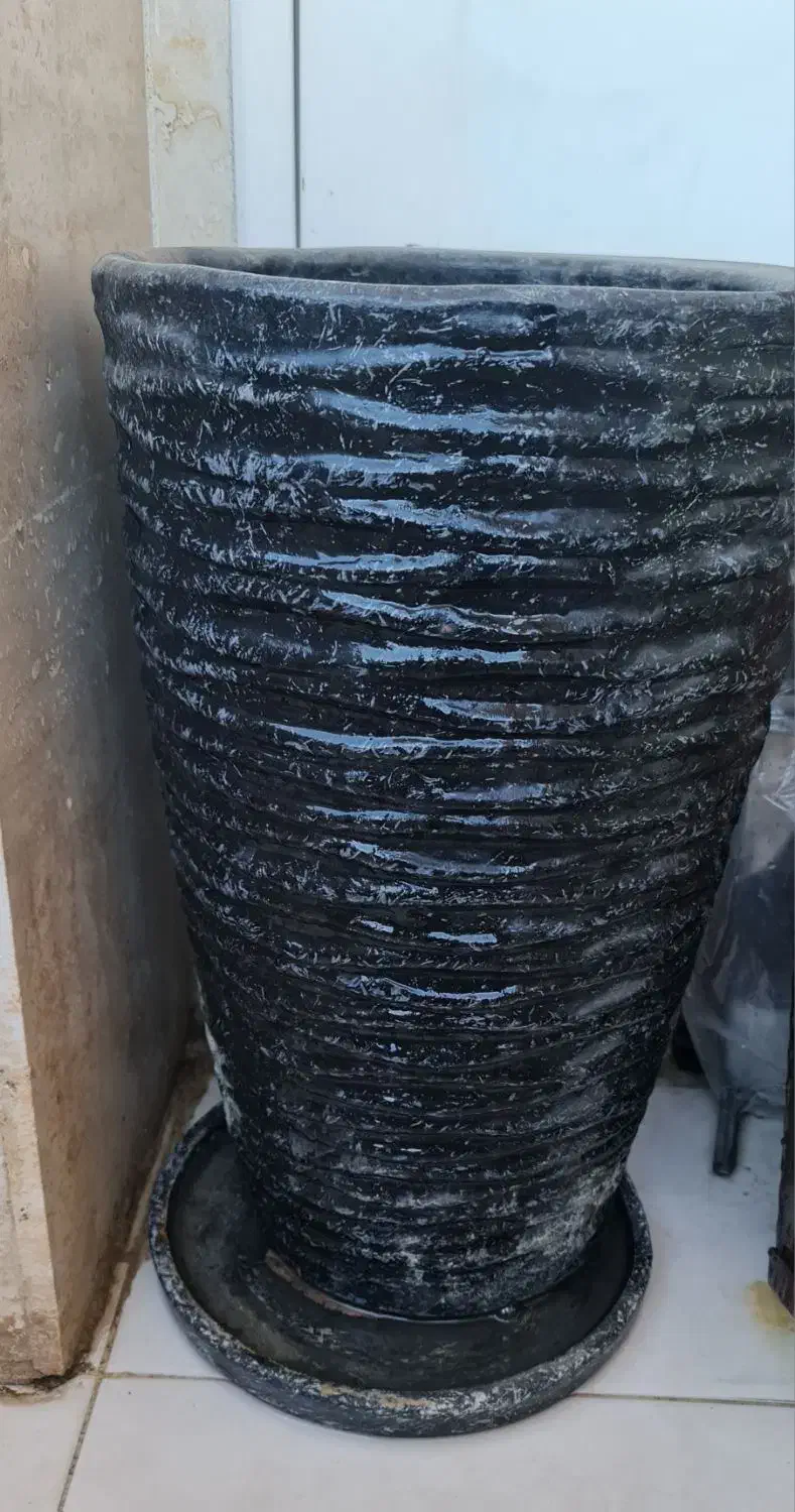 گلدا ن|گل و گیاه طبیعی|ایلام, |دیوار