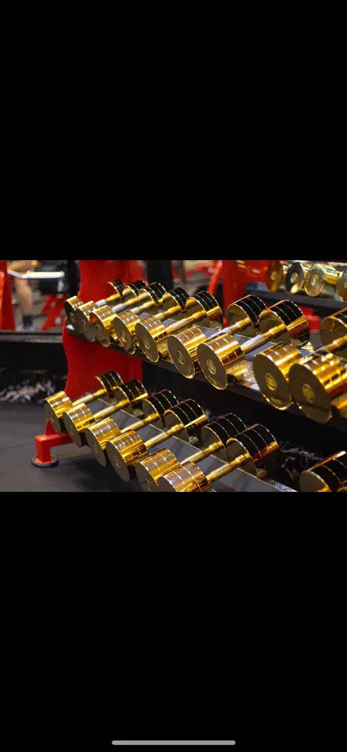 منشی باشگاه اقایان|استخدام اداری و مدیریت|شیراز, معالیآباد|دیوار