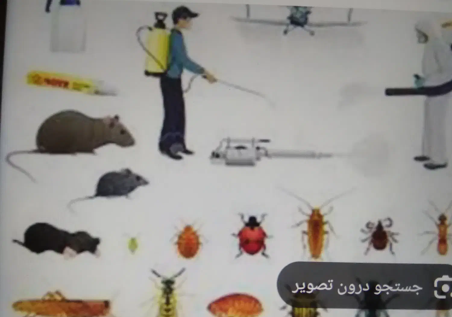 سمپاشی تضمینی نظافت جابجایی اسباب|خدمات نظافت|کاشان, دشت چال|دیوار