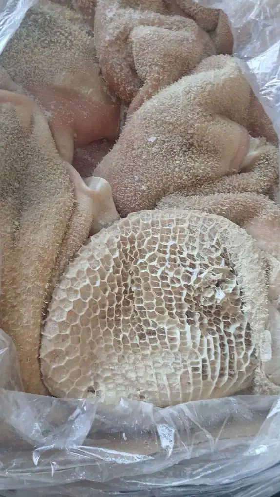 پخش الایش دامی|خوردنی و آشامیدنی|جلفا, |دیوار