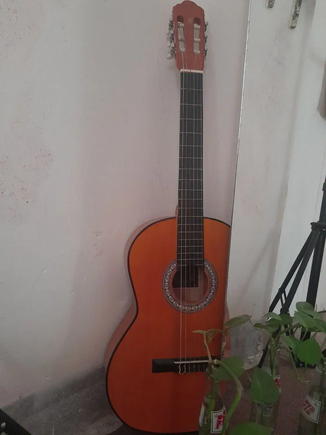 گیتار آنتنیو سِزار|گیتار، بیس، امپلیفایر|نجف‌آباد, فیروزآباد|دیوار