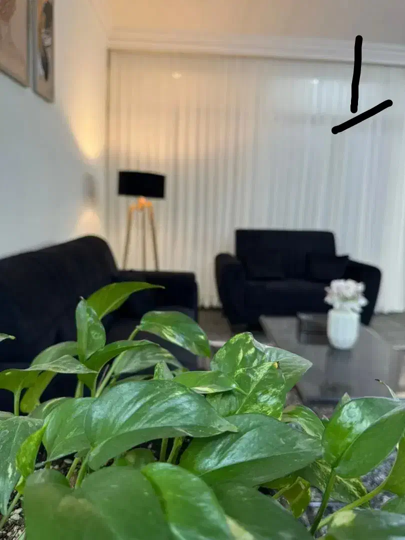 سوییت آپارتمان شیک و تمیز کوتاه مدت|اجارهٔ کوتاهمدت آپارتمان و سوئیت|مشهد, کلاهدوز|دیوار