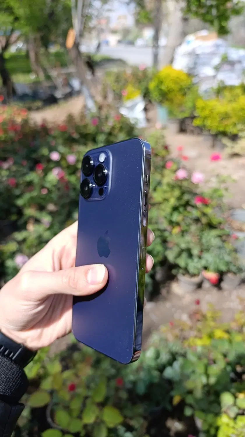 Iphone 14 pro max|موبایل|مراغه, |دیوار