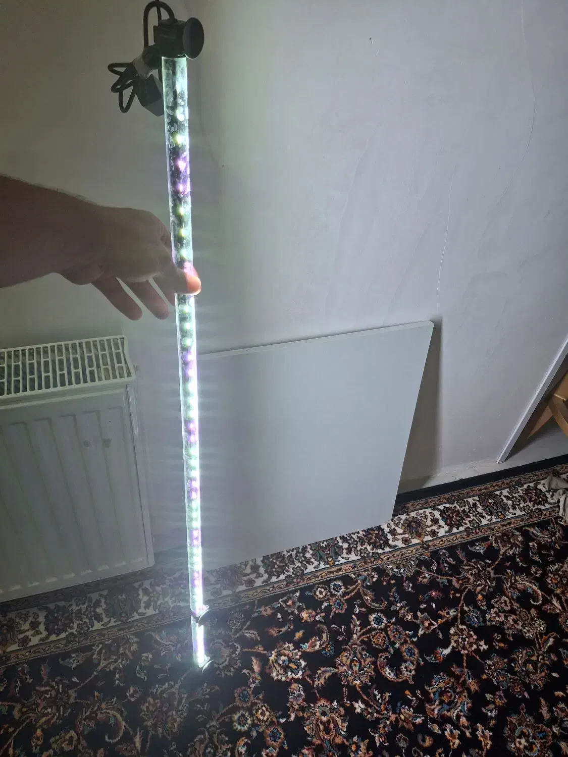 اکواریوم بزرگ و انواع لوازم درحدنو|ماهی|بیرجند, |دیوار