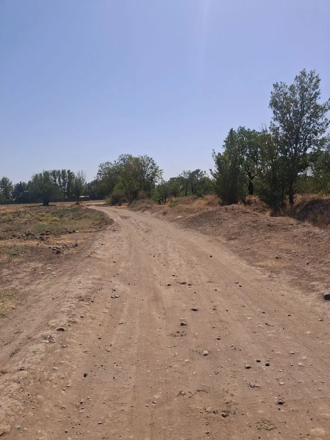 زمین زراعی ، نزدیک شهر|فروش زمین و ملک کلنگی|قزوین, |دیوار