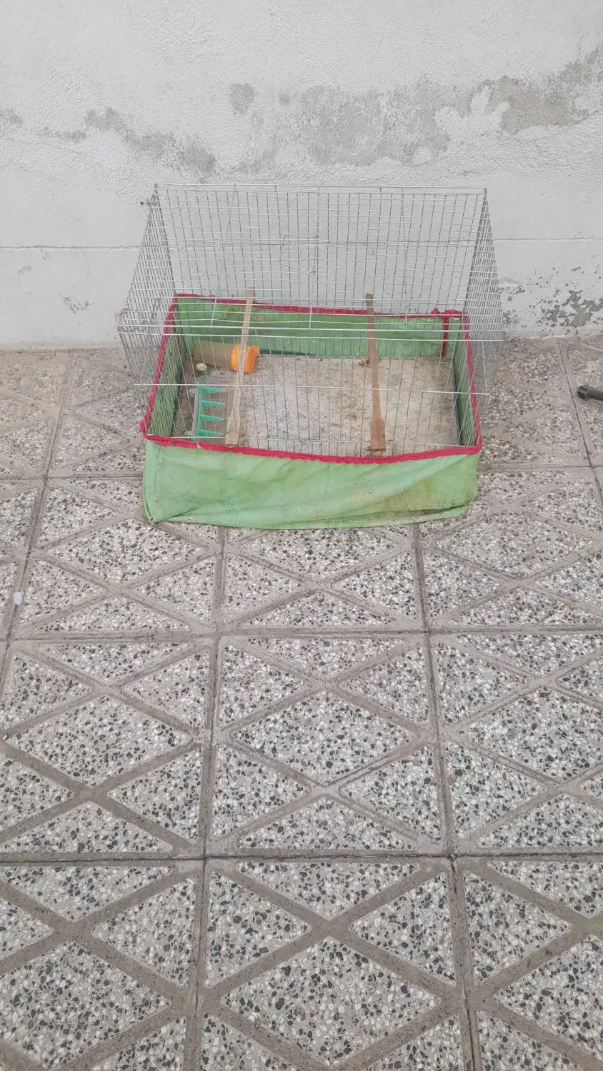 قفس پرنده|لوازم جانبی حیوانات|گنبد کاووس, |دیوار