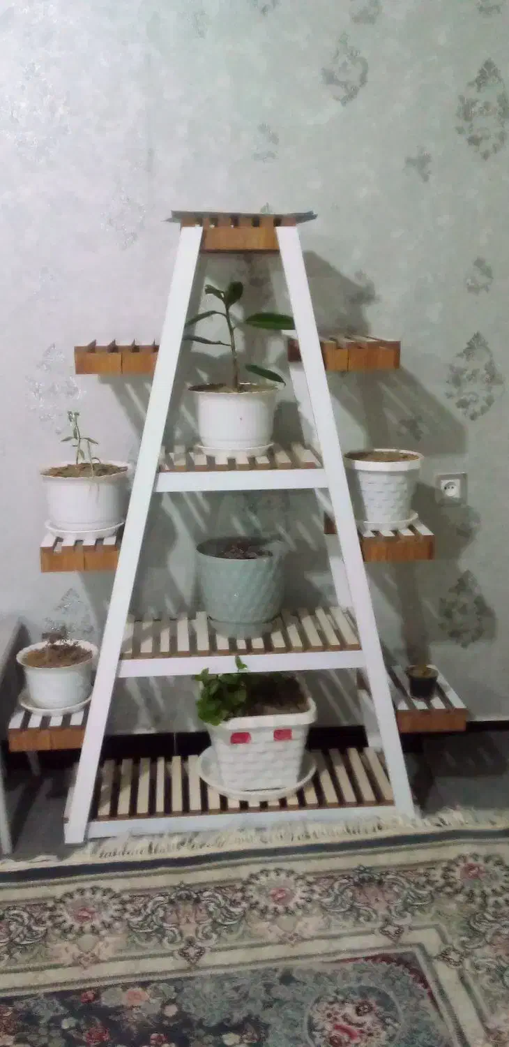 استند گل چوبی|گل و گیاه طبیعی|بوکان, |دیوار